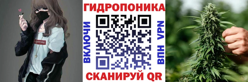 Бошки марихуана конопля  kraken зеркало  Холмск 